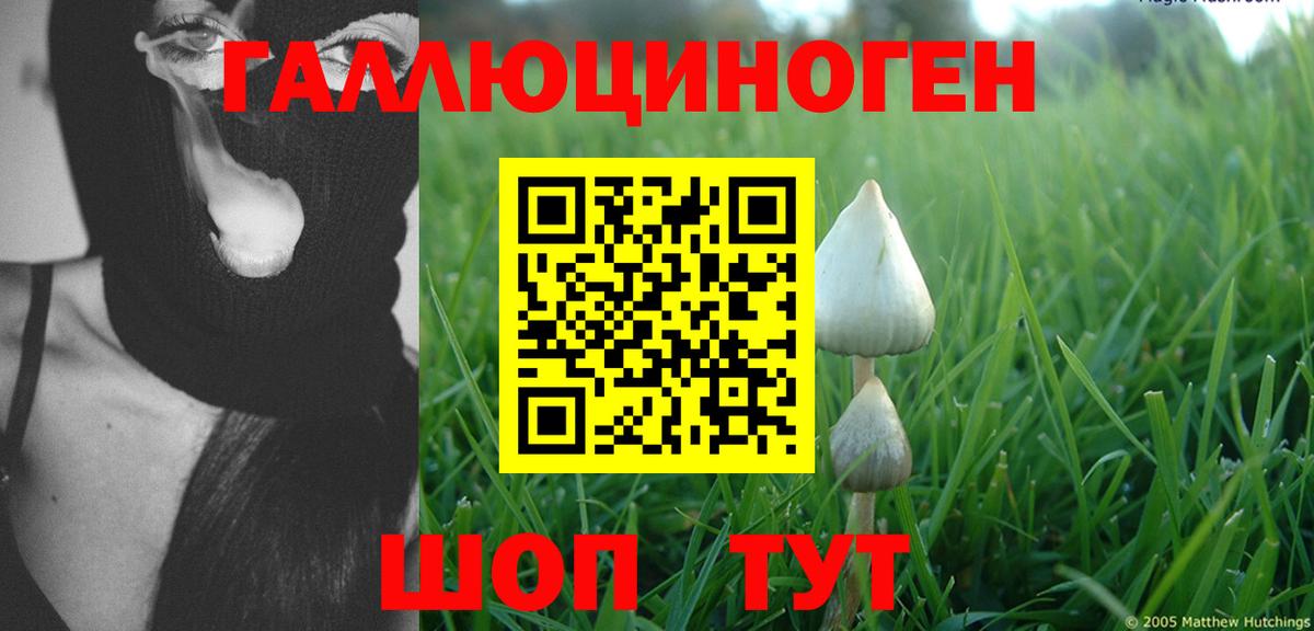 Кулебаки  Псилоцибиновые грибы MAGIC MUSHROOMS  Галлюциногенные грибы Psilocybe  Вход с VPN 